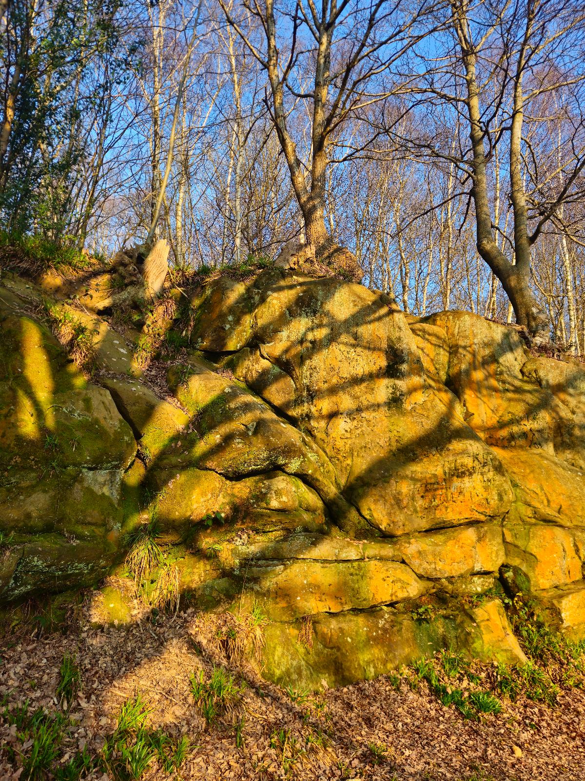 Central Route topo preview