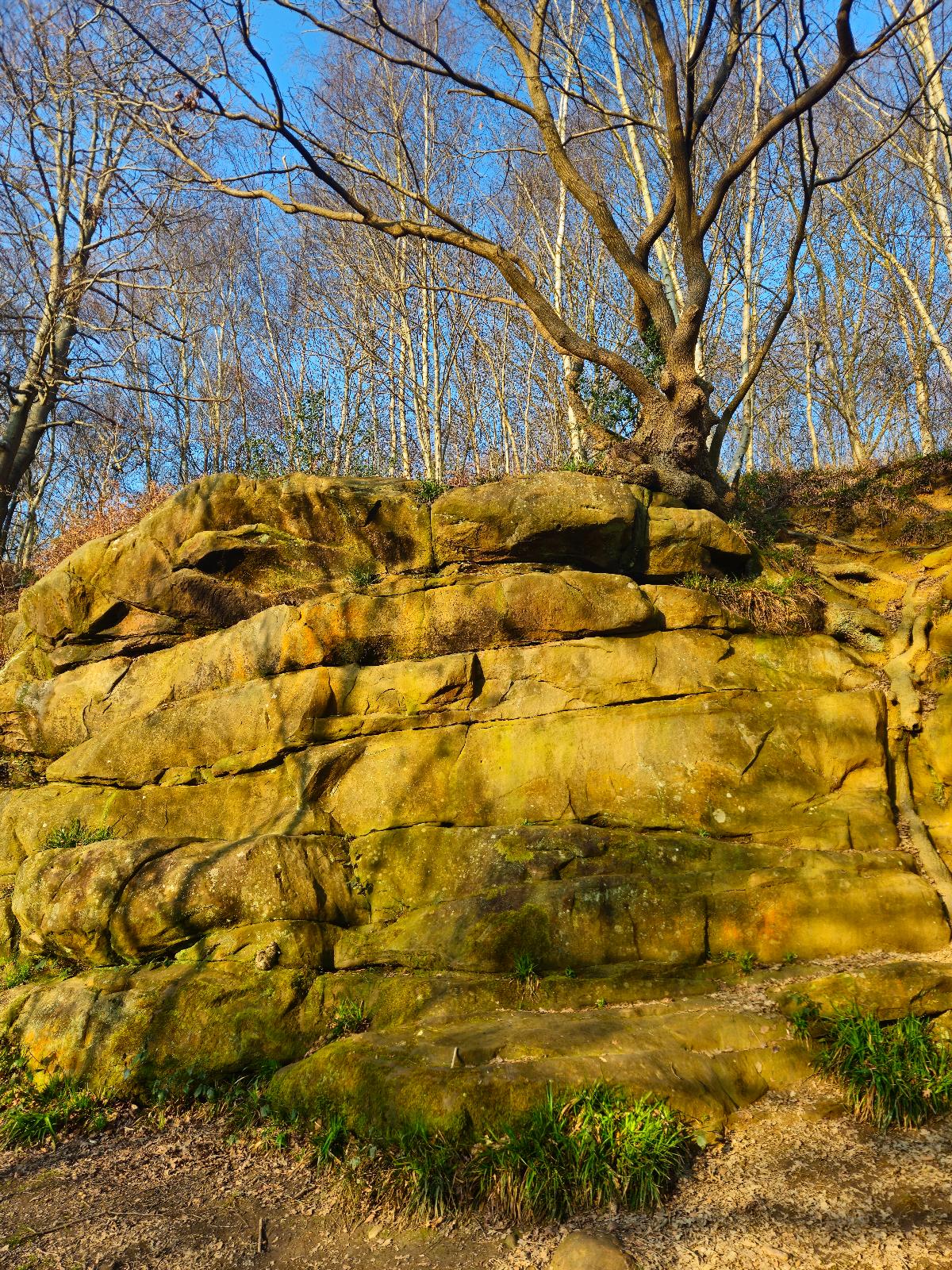 Golden Graham's topo preview