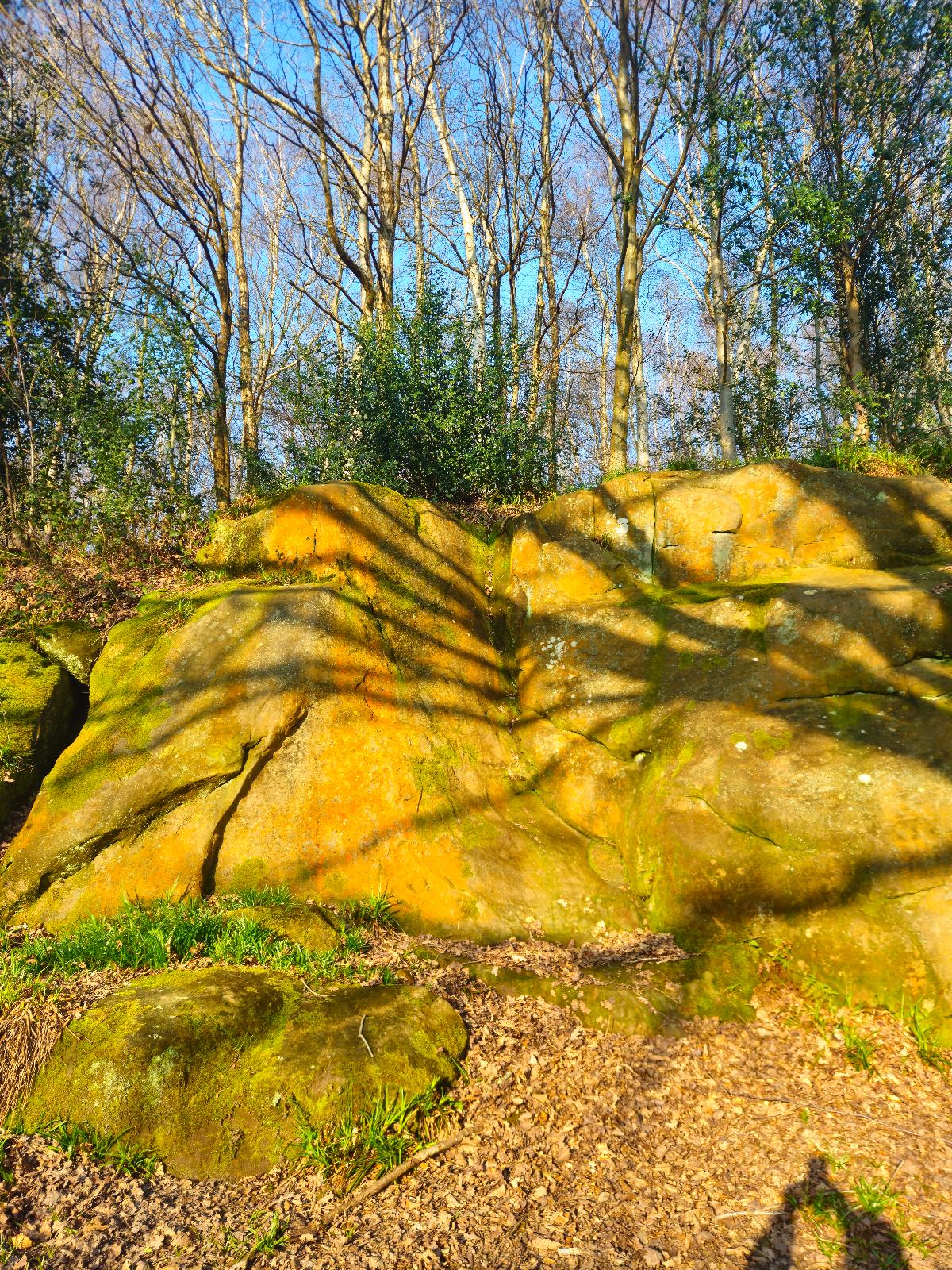 Bridge Corner topo preview