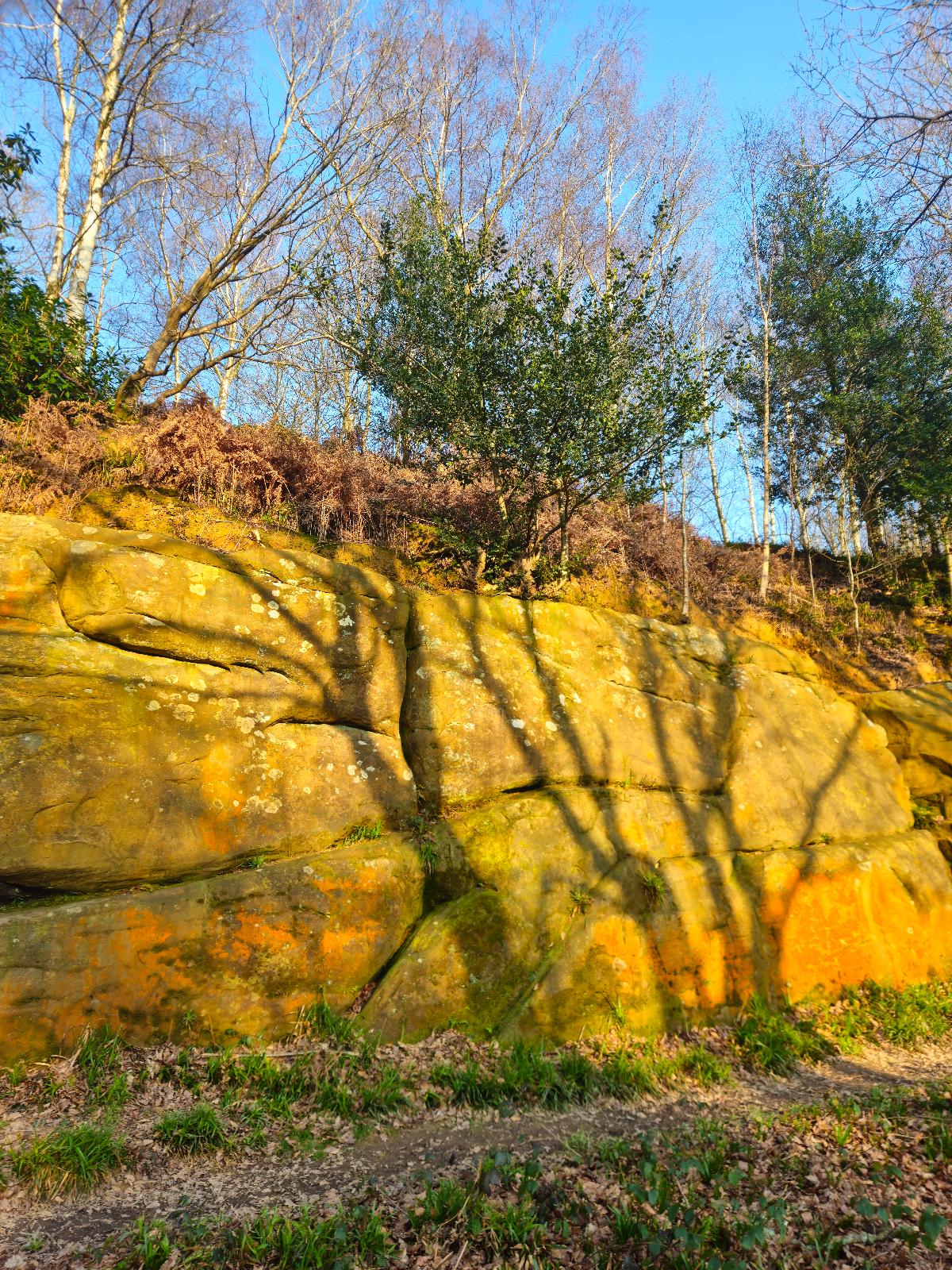 Liberty Cap topo preview